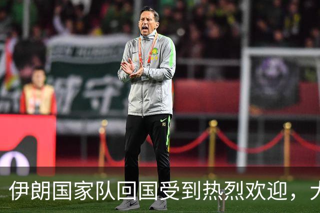 伊朗国家队回国受到热烈欢迎，大批球迷接机